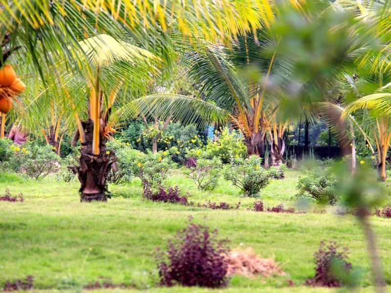 Okura Island Resort And Spa Kadalur Exteriér fotografie